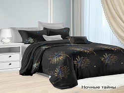 Комплект постельного белья 2-х спальный Felicita, Ночные тайны